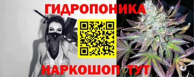 гашик Кимры
