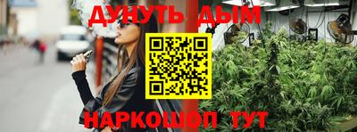 гашик Кимры