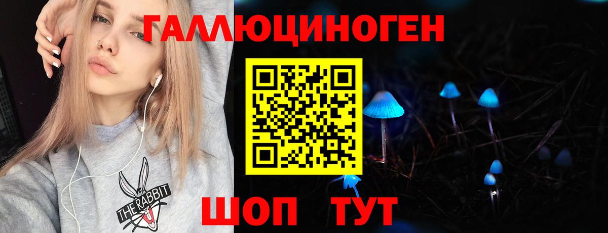 Псилоцибиновые грибы Psilocybe  Псилоцибиновые грибы Psilocybe  Вход с VPN  Красный Сулин 
